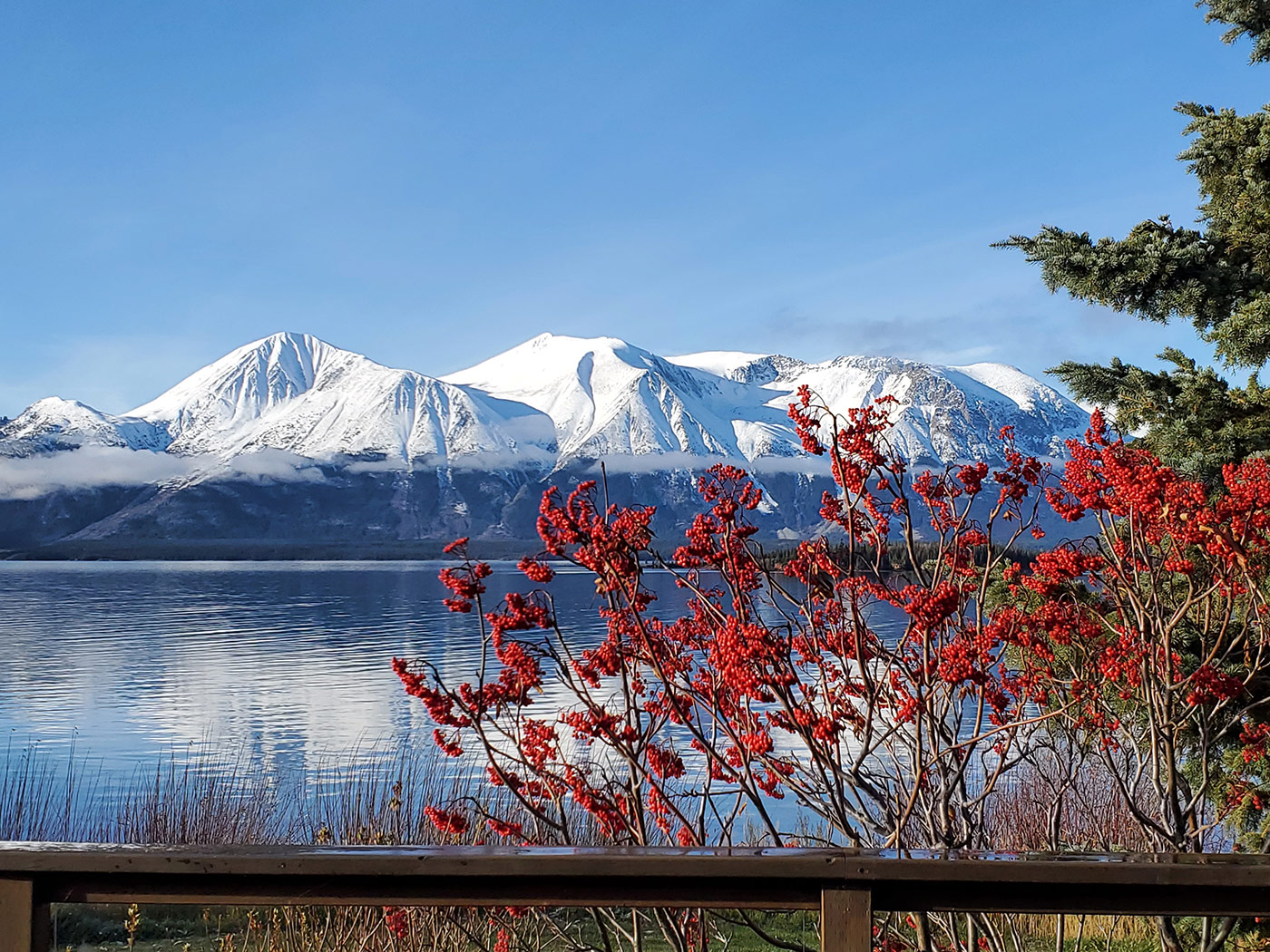 About Atlin